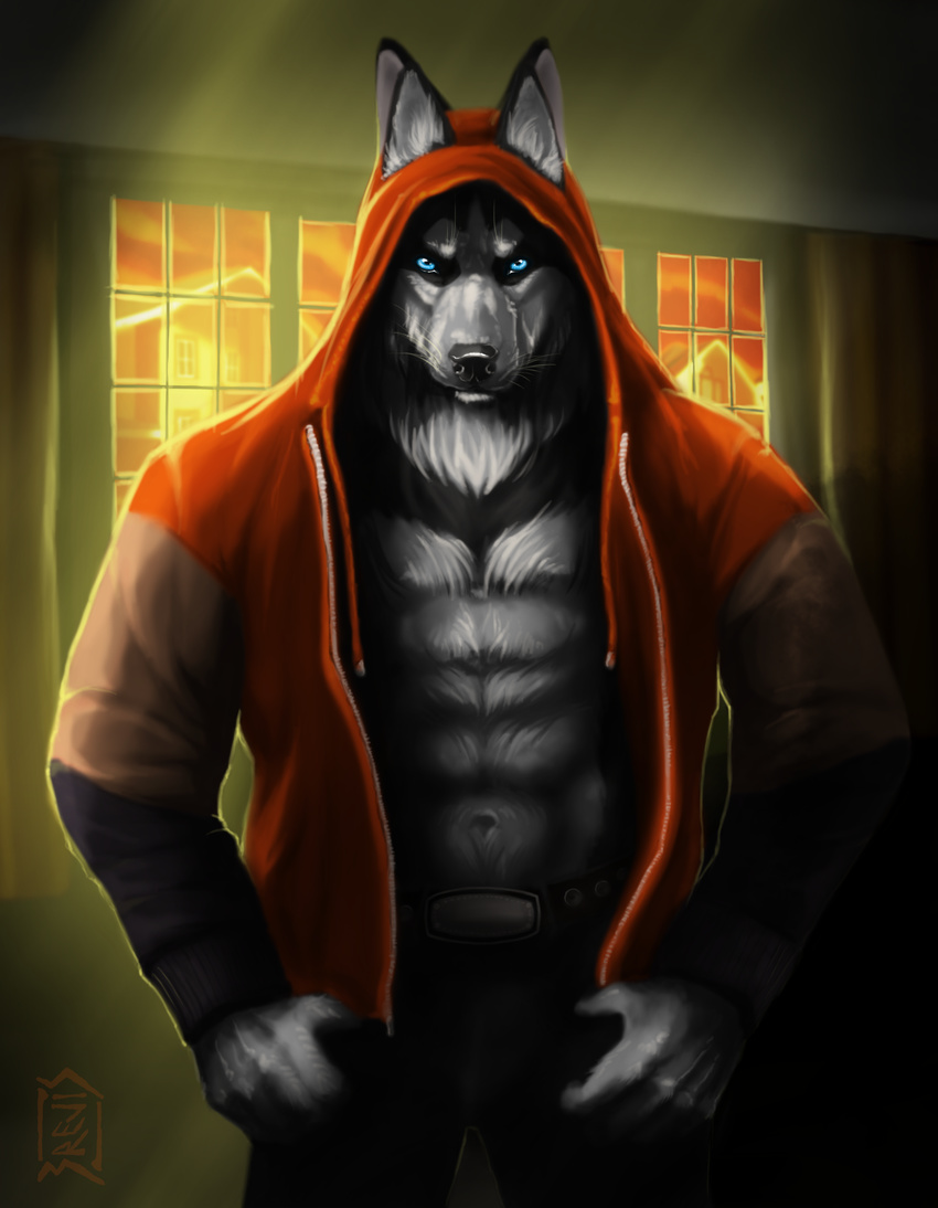 2014 5_fingers abs absurd_res anthro belt biped black_fur black_nose brevis canine clothing digital_media_(artwork) digital_painting_(artwork) dog fluffy front_view fur furgonomics grey_fur hi_res hoodie humanoid_hands husky inner_ear_fluff inside lighting looking_at_viewer male mammal multicolored_fur muscular muscular_male navel open_clothing orange_clothing orange_topwear pants portrait solo standing three-quarter_portrait thumbs_in_pockets unknown_character whiskers white_fur window