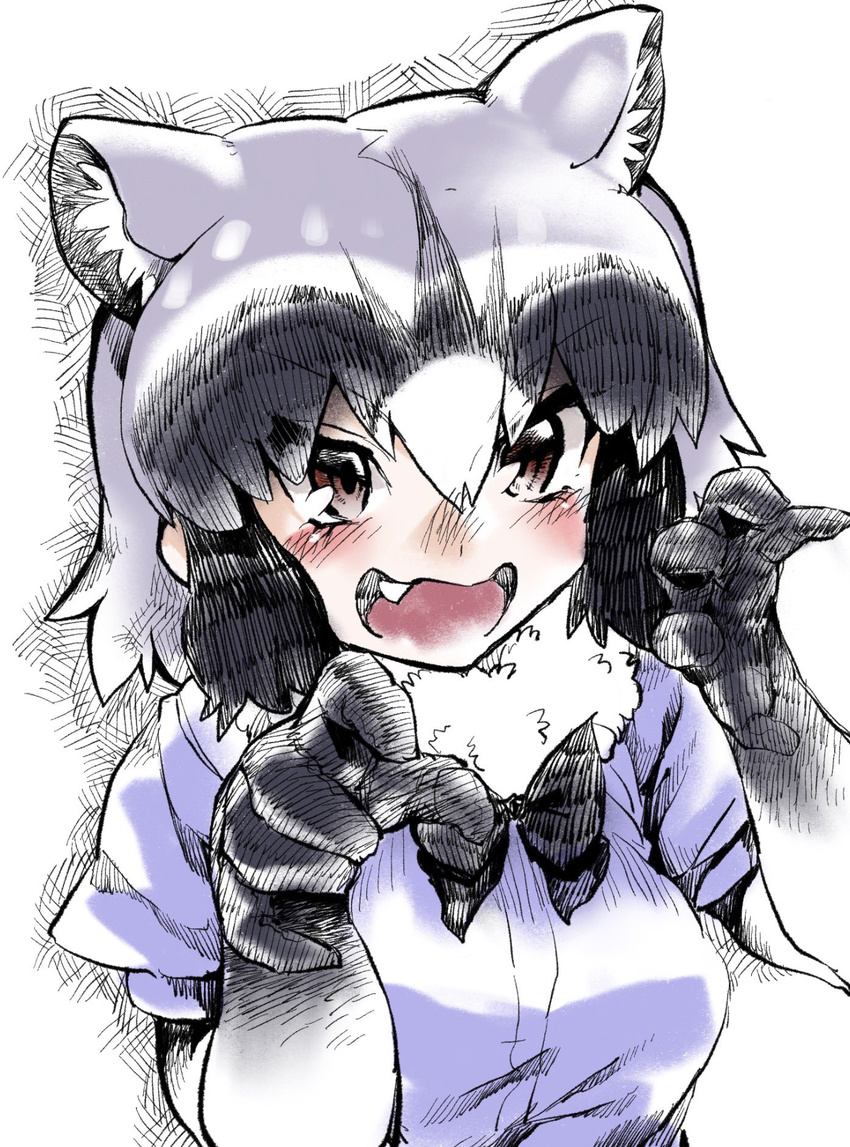 animal_humanoid armwear black_hair blush bow_tie breasts brown_eyes clothed clothing common_raccoon_(kemono_friends) ear_tuft elbow_gloves fangs female gloves grey_hair hair humanoid kemono_friends mammal multicolored_hair open_mouth raccoon raccoon_humanoid shirt sigmarion simple_background solo teeth tuft