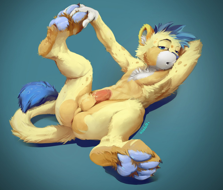 2017 4_toes anthro balls barefoot blue_eyes blue_fur butt chest_tuft claws digital_drawing_(artwork) digital_media_(artwork) erection feet fur hair hindpaw looking_at_viewer male mammal nude open_mouth oselotti pawpads paws penis simple_background soles solo toe_claws toes tuft white_fur yellow_fur young