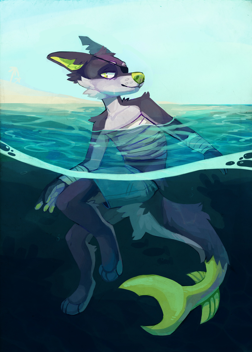 anthro bandage canine clothing countershading digital_media_(artwork) dog eye_patch eyewear fin fish flemkid fur green_eyes green_nose grey_fur hybrid male mammal marine notched_ear outside partially_submerged shark shorts smile solo swimming tailfin water white_fur