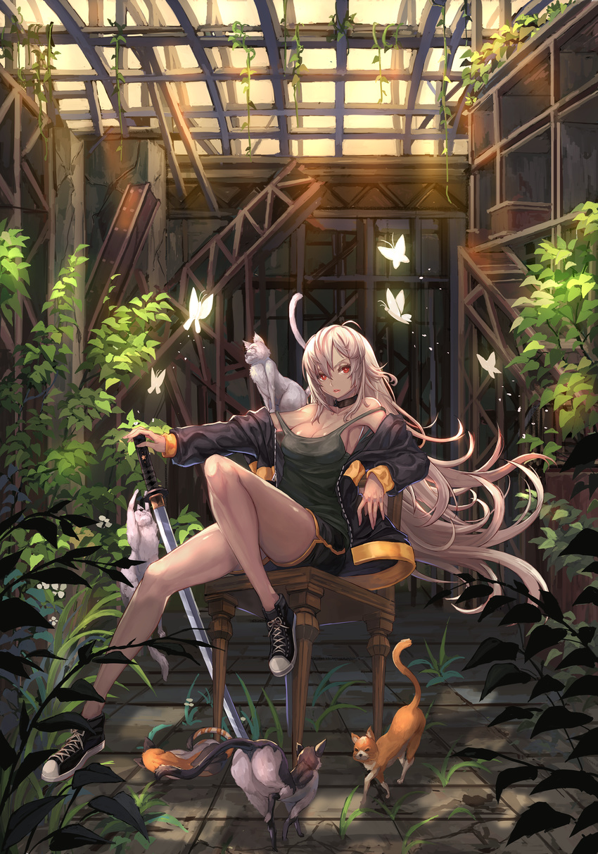 absurdres bangs black_footwear breasts bug butterfly cat chair cleavage closed_mouth commentary_request converse floating_hair grass grey_hair gym_shorts hair_between_eyes highres holding holding_sword holding_weapon indoors insect jacket katana knee_up long_hair looking_at_viewer medium_breasts open_clothes open_jacket original overgrown planted_sword planted_weapon qbspdl red_eyes shoes shorts sitting sneakers solo strap_slip sword tank_top tsurime very_long_hair weapon