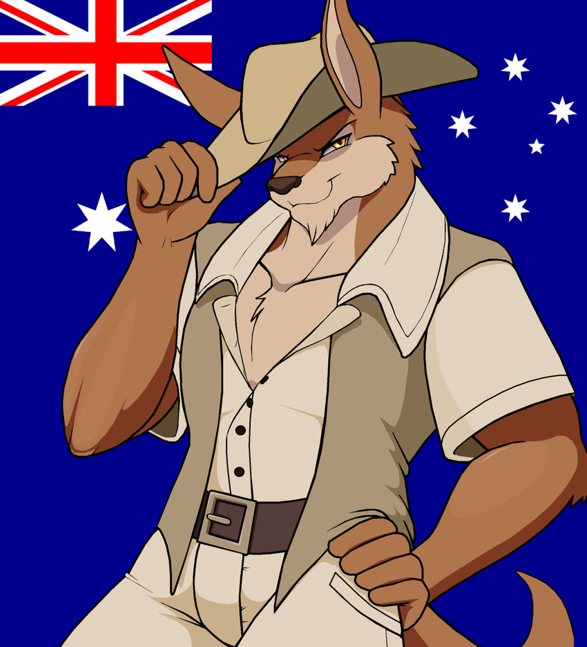 5_fingers amber_eyes anthro australia australian_flag brown_fur clothed clothing cooper_(droll3) droll3 fur grin hat hunter kangaroo looking_at_viewer male mammal marsupial muscular muscular_male parody smile solo tipping_hat world_war world_war_2