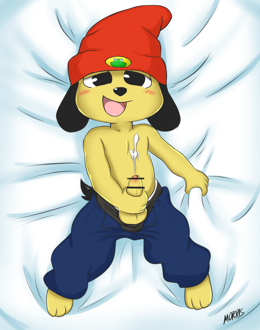 black_eyes black_nose blush clothed clothing cum handjob male open_mouth orgasm parappa parappa_the_rapper penis sex topless uncut underwear video_games