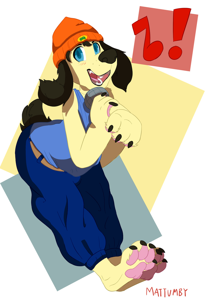 4_toes absurd_res anthro barefoot canine clothing cogs90210 cute dog fur hi_res male mammal mattumby parappa parappa_the_rapper pawpads tagme toes video_games yellow_fur