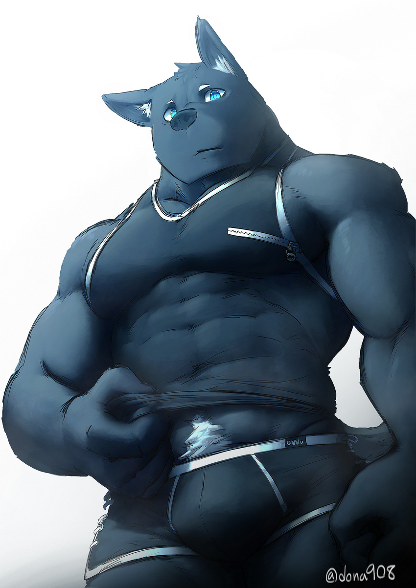 2017 anthro biceps canine clothed clothing digital_media_(artwork) dog dona908 fur hi_res kemono male mammal muscular muscular_male pecs simple_background solo top_tank_meme underwear