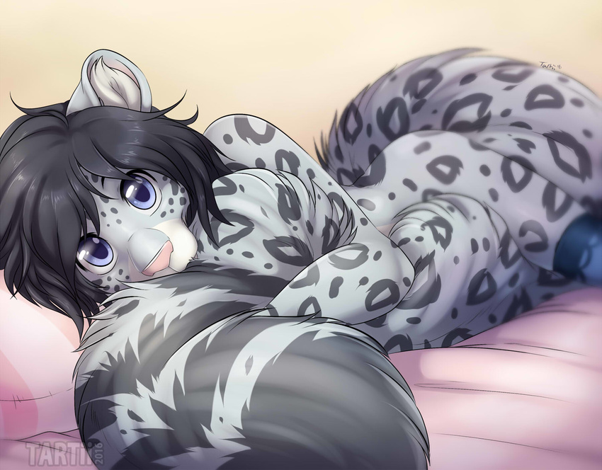 2016 anthro bed biped black_hair blue_eyes clothing cute depth_of_field digital_media_(artwork) feline fluffy fluffy_tail fur girly grey_fur grey_spots grey_tail hair hi_res huge_tail legwear leopard leopard_spots long_tail looking_at_viewer lying male mammal mostly_nude multicolored_fur multicolored_tail on_bed on_front pillow pink_nose short_hair signature simple_background snow_leopard solo spots spotted_fur stockings taiga_winters tail_hug tan_background tartii two_tone_fur two_tone_tail watermark