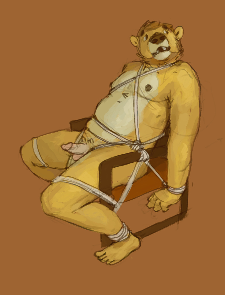 2013 4_fingers 5_toes ankles_tied anthro balls bear beard biped bound brown_background brown_hair brown_nose brown_theme chair chest_tuft countershade_face countershade_torso countershading digital_media_(artwork) digital_painting_(artwork) exposed facial_hair feet frogtied full-length_portrait fully_bound fur hair half-erect hands_tied hi_res humanoid_feet humanoid_hands humanoid_penis leaning leaning_back legs_tied looking_away male mammal moobs multicolored_fur neck_tuft nude open_mouth overweight overweight_male penis pink_balls pink_penis plantigrade portrait pubes rampack reclining rope rope_bondage short_hair side_view simple_background sitting solo spread_legs spreading tan_countershading tan_fur toes tuft two_tone_fur yellow_fur