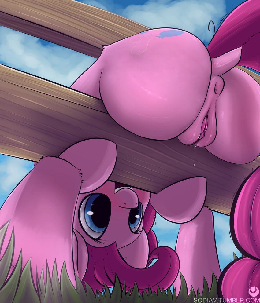 absurd_res anus blue_eyes butt clip_clop cutie_mark dock earth_pony equine female feral friendship_is_magic grass hair hi_res horse mammal my_little_pony open_mouth outside pink_hair pinkie_pie_(mlp) pony pussy pussy_juice solo