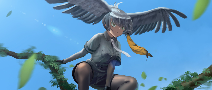 arm_support bangs belt bird_wings black_gloves blue_sky bodystocking branch breast_pocket closed_mouth collared_shirt commentary day feathered_wings fingerless_gloves floating_hair furukawa_herzer gloves grey_neckwear grey_shirt grey_shorts head_wings highres kemono_friends leaf lens_flare long_hair looking_afar low_ponytail motion_blur multicolored_hair necktie orange_hair outdoors pocket shirt shoebill_(kemono_friends) short_sleeves shorts side_ponytail silver_hair sky solo spread_wings squatting wind wind_lift wing_collar wings