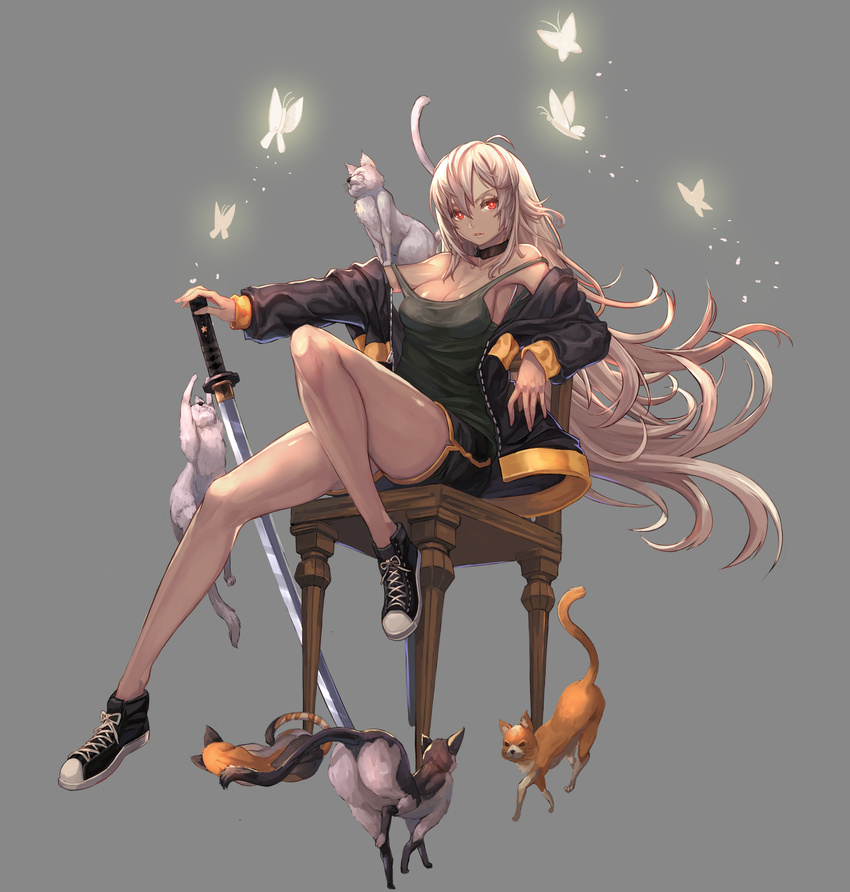 absurdres bangs black_footwear breasts bug butterfly cat chair cleavage closed_mouth converse floating_hair grey_background grey_hair gym_shorts hair_between_eyes highres holding holding_sword holding_weapon insect jacket katana knee_up long_hair looking_at_viewer medium_breasts open_clothes open_jacket original planted_sword planted_weapon qbspdl red_eyes shoes shorts simple_background sitting sneakers solo strap_slip sword tank_top tsurime very_long_hair weapon