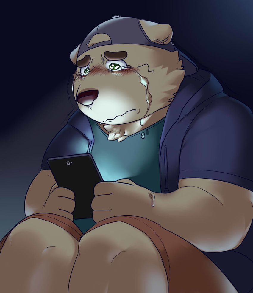 2017 anthro backwards_baseball_cap baseball_cap bear biped blush brown_fur brown_nose clothed clothing crying dark dripping ears_down eyebrows fully_clothed fur furgonomics green_eyes hat holding_object jacket kemono male mammal sad sheeporwolf shirt shorts sitting slightly_chubby solo stocky tablet tears
