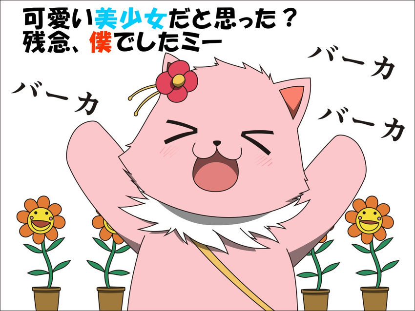 &gt;_&lt; :d amagi_brilliant_park black_border blush_stickers border cat commentary_request flower hair_flower hair_ornament open_mouth plant potted_plant smile solo sunflower tiramii todo_(masa3373) too_bad!_it_was_just_me! translated white_background