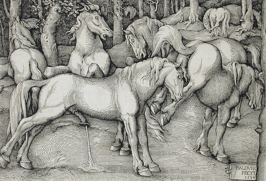 1534 ancient_furry_art animal_genitalia animal_penis anus balls butt cum cumshot ejaculation equine equine_penis female feral flared_penis forest grass greyscale group half-erect hans_baldung_grien hi_res hooves horse kick male male/female mammal masturbation monochrome nude on_hind_legs open_mouth orgasm outside penis proper_art public_domain raised_tail rejection renaissance signature standing teeth traditional_media_(artwork) tree underhoof woodcut