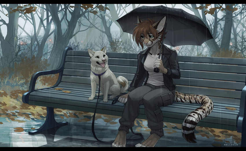 2017 5_fingers anthro barefoot black_bars brown_hair canine clothed clothing day detailed_background digital_media_(artwork) dog duo feline female feral fur hair leash mammal melloque open_mouth outside raining serval sitting smile tongue white_fur