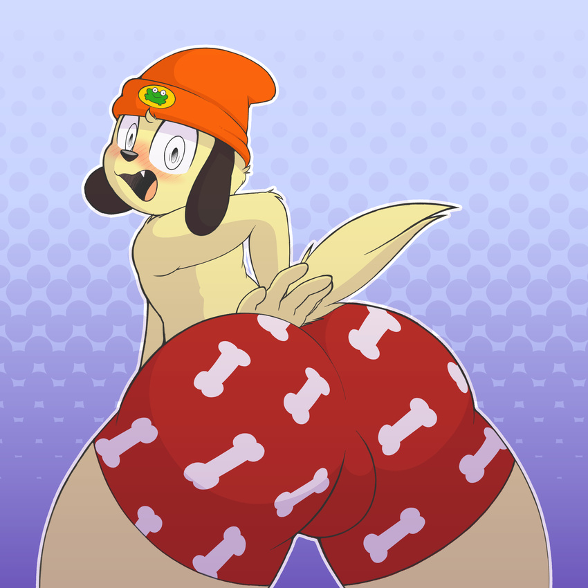 5_fingers absurd_res anthro bent_over big_butt biped black_fur black_nose blush bone boxers_(clothing) bulge butt canine clothed clothing dog embarrassed fangs fur grey_eyes hand_on_butt hat hi_res looking_at_viewer looking_back male mammal multicolored_fur open_mouth parappa parappa_the_rapper partially_clothed pattern_background presenting presenting_hindquarters rear_view simple_background solo standing tan_fur teeth toony topless two_tone_fur underwear unknown_artist video_games wide_eyed