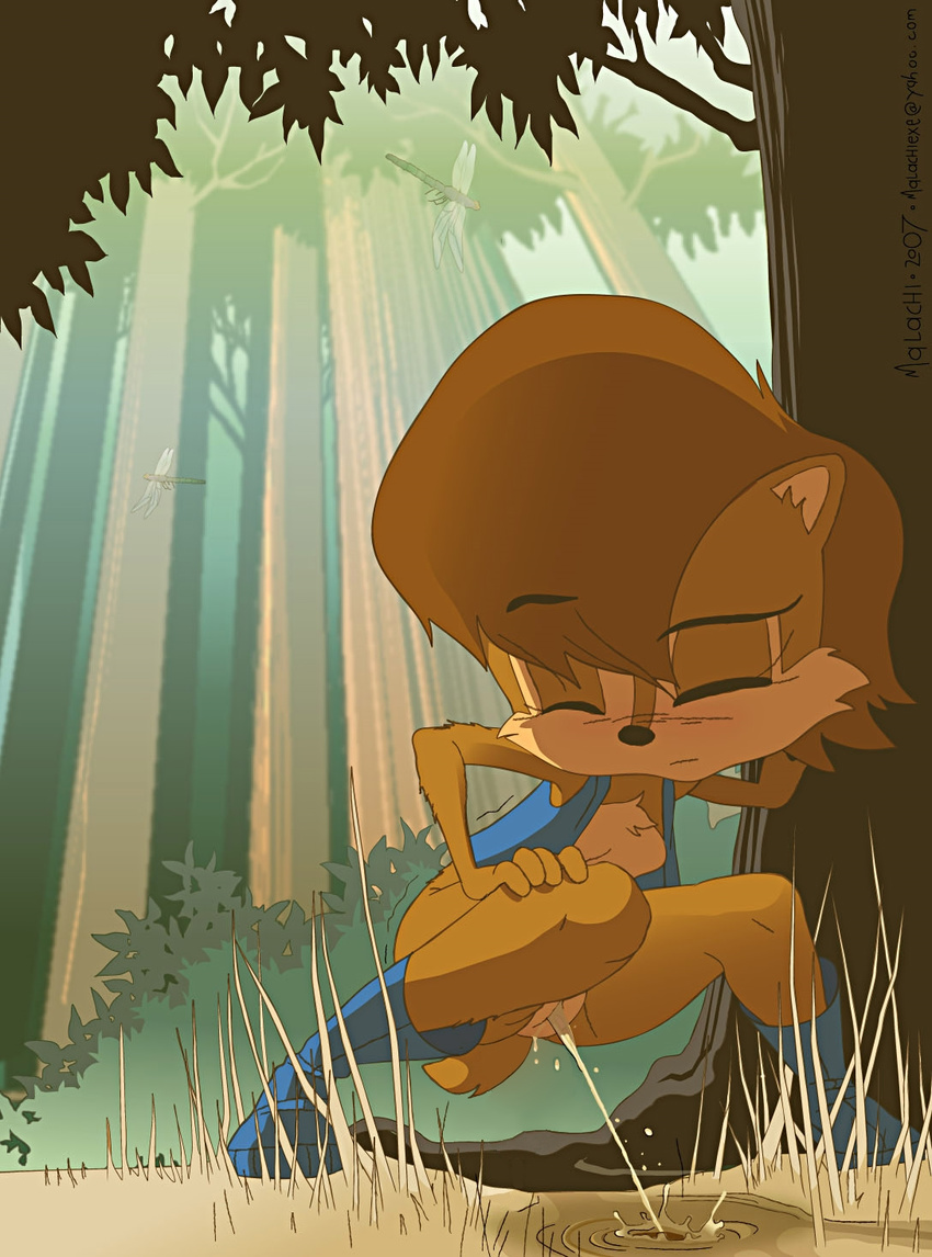 2007 anthro blush boots brown_fur clothed clothing crouching edit eyes_closed female footwear fur hair hi_res malachi mammal outside partially_clothed peeing pussy rodent sally_acorn solo sonic_(series) squirrel tree urine vest