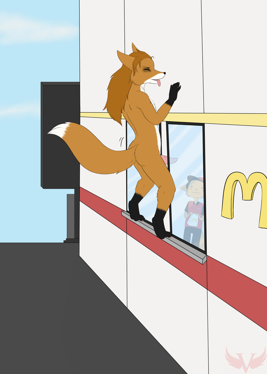 :i absurd_res anthro badwing being_watched canine clothed clothing d_kenmason dipstick_tail duo fox hair hi_res improvised_sex_toy knot long_hair male mammal mcdonald's multicolored_tail nude penis public public_nudity red_fox scar sex sex_with_window solo_focus uniform what window