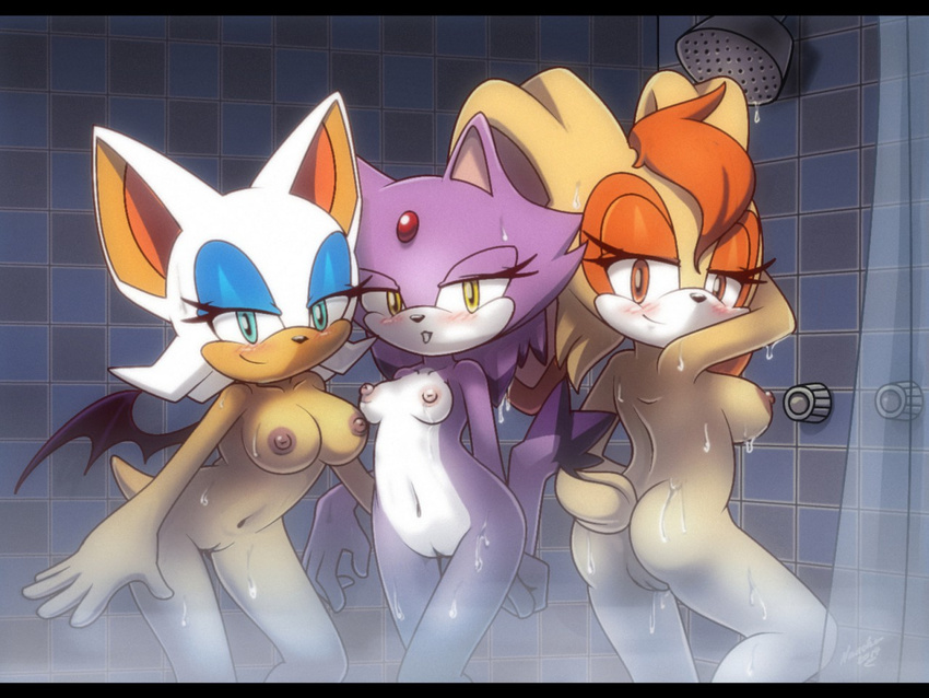 3girls anthro ass bat bathroom blaze_the_cat blush breasts brown_hair bunny cat cute feline female female_only half-closed_eyes long_ears multiple_girls navel nipples nude purple_fur pussy rabbit red_eyes rodent rouge_the_bat sexy shower sonic_(series) sonic_the_hedgehog steam tail turquoise_eyes uncensored vanilla_the_rabbit water wet white_hair wings yellow_eyes