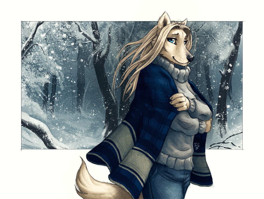 2017 anthro biped black_nose blue_bottomwear blue_clothing blue_eyes blue_pants canine cloak clothed clothing detailed_background digital_media_(artwork) female forest front_view fully_clothed fur grey_clothing grey_topwear hair half-length_portrait jeans long_hair looking_at_viewer mammal pants portrait signature smile snout snow snowing solo standing sweater tan_fur tan_hair tan_tail tasanko tree winter wolf