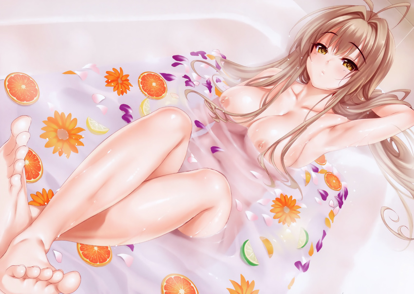 amagi_brilliant_park bathing censored cle_masahiro feet naked photoshop sento_isuzu wet