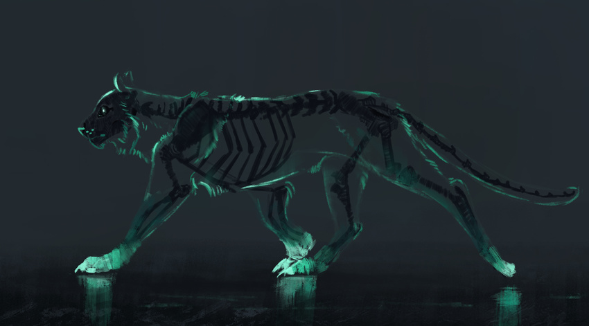 ambiguous_gender black_bone bone digital_media_(artwork) feline feral jademere mammal paws simple_background skeleton solo translucent_body