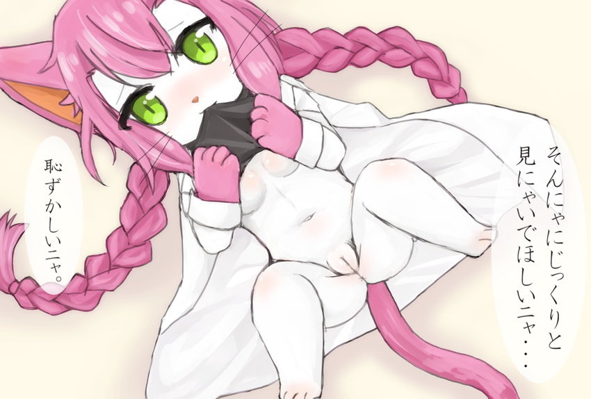 1girl artist_request cat cat_busters furry green_eyes lab_coat long_hair pink_hair pussy smile solo twindrills uncensored