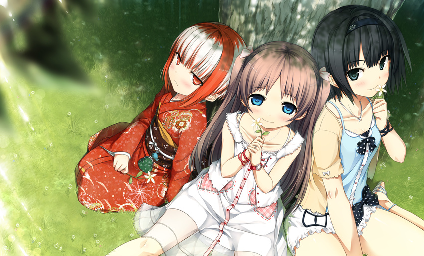 :/ absurdres arishima_alice black_eyes black_hair blue_eyes blush breasts brown_hair casual closed_mouth cura dress enty_reward eyebrows_visible_through_hair flower girl_sandwich grass hairband highres holding holding_flower japanese_clothes kimono long_sleeves looking_at_viewer monobeno multicolored_hair multiple_girls obi outdoors paid_reward red_eyes red_hair red_kimono ribbon sandwiched sash sawai_natsuha short_hair sidelocks sitting small_breasts smile sumi_(monobeno) tree twintails two-tone_hair two_side_up under_tree watch white_hair wristwatch