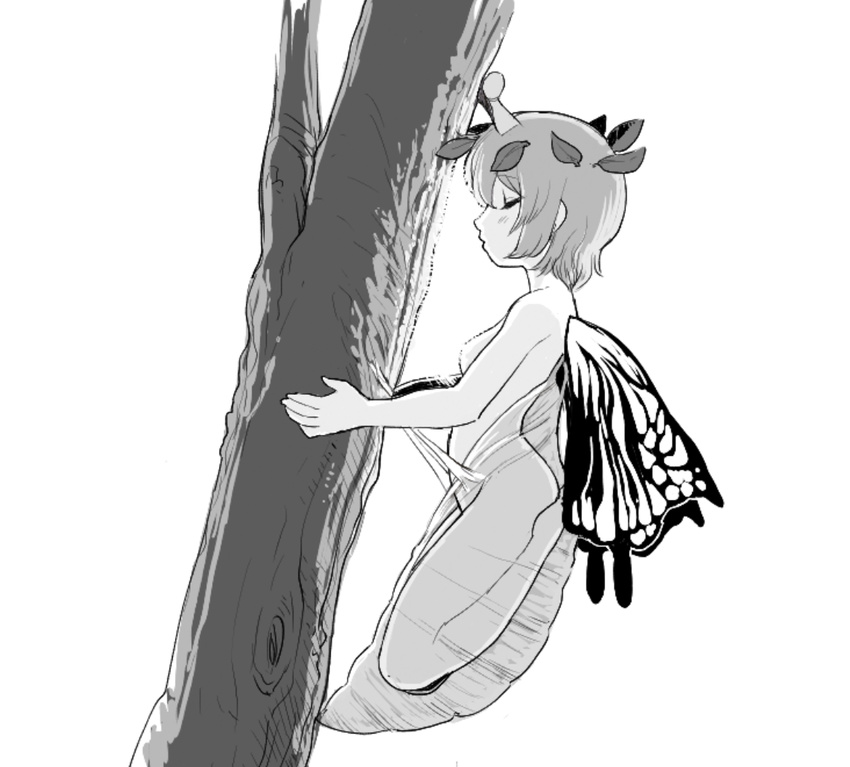 antennae butterfly_wings chrysalis_(butterfly) closed_eyes eternity_larva greyscale leaf leaf_on_head monochrome nude short_hair touhou tree wings yonaki