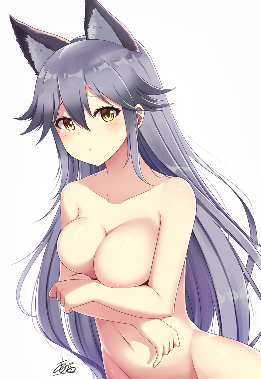 agano_(yoshii_aki) animal_ears areolae artist_name blush breasts cleavage covering covering_breasts extra_ears fox_ears groin hair_between_eyes highres holding_arm kemono_friends large_breasts long_hair looking_at_viewer navel nude signature silver_fox_(kemono_friends) silver_hair simple_background solo very_long_hair white_background yellow_eyes