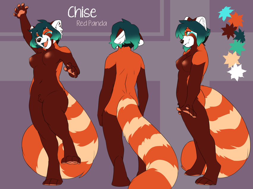 barely_visible_genitalia breasts chise female fur green_hair hair jailbird mammal model_sheet nipples nude open_mouth pawpads pose red_fur red_panda smile solo subtle_pussy