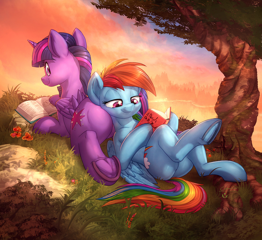 2017 book butt butt_pillow caboni32 colored cutie_mark duo equine feathered_wings feathers female feral friendship_is_magic grass hair half-closed_eyes hi_res hooves horn mammal multicolored_hair my_little_pony outside pegasus rainbow_dash_(mlp) rainbow_hair reading smile tree twilight_sparkle_(mlp) underhoof vest_(artist) winged_unicorn wings
