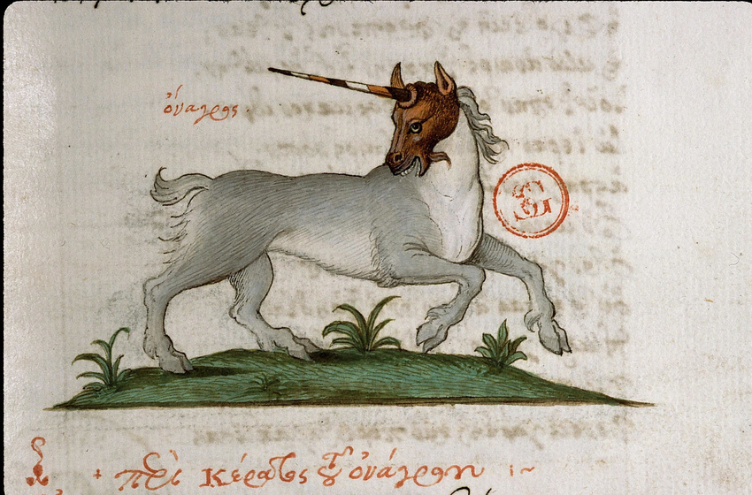 1566 16th_century ambiguous_gender ancient_furry_art angelos_vergekios cloven_hooves creative_commons equine feral fur grass greek_text hi_res hooves horn license_info looking_back mammal multicolored_horn open_mouth plant proper_art renaissance running side_view simple_background solo teeth text traditional_media_(artwork) unicorn white_background