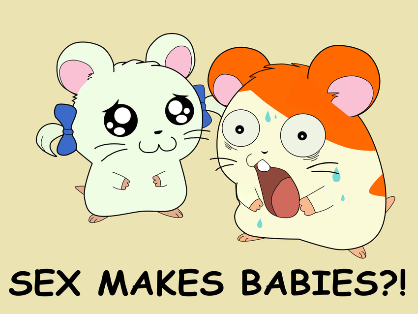 :3 bijou bow_tie cute duo english_text female feral fuzzy hamster hamtaro hamtaro_(series) hi_res humor image_macro male mammal rodent shocked simple_background surprise sweat text the_more_you_know unknown_artist