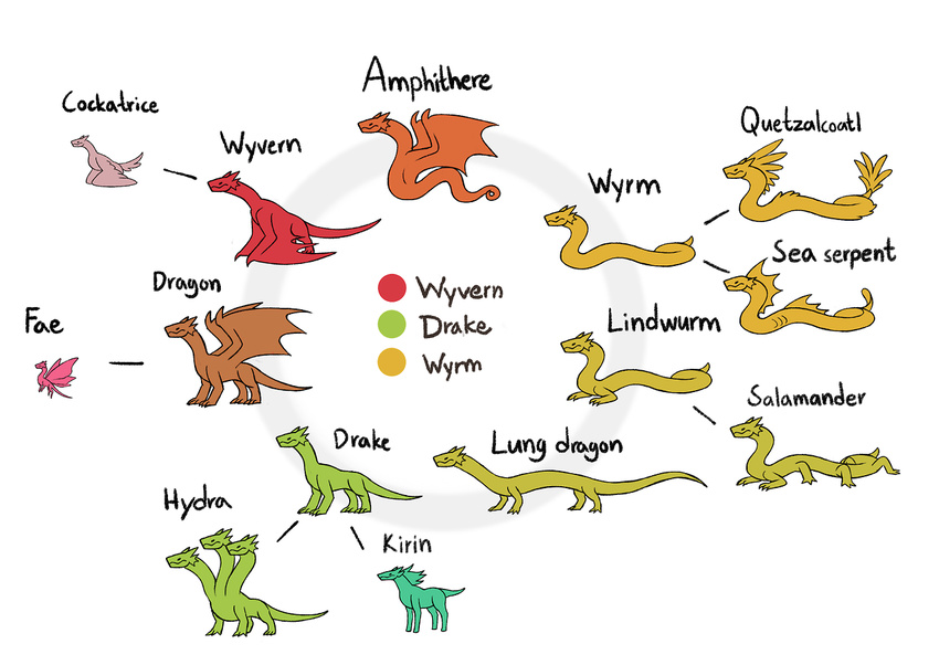 amphibian amphithere chart cockatrice dragon drake_(disambiguation) drakthug fae_dragon feral hydra kirin lindwurm lung_dragon quetzalcoatl salamander sea_serpent text wings wyrm wyvern