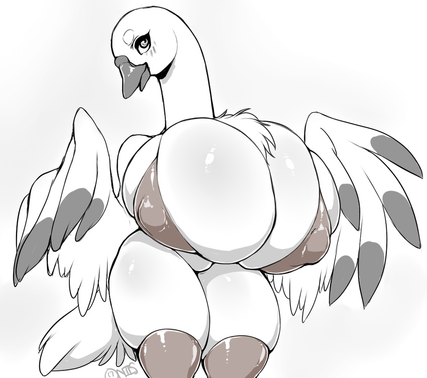 2017 anthro avian beak big_breasts bird blush bra breasts chest_tuft clothed clothing digital_media_(artwork) feathered_wings feathers female front_view greyscale huge_breasts hyper hyper_breasts legwear long_neck looking_at_viewer monochrome niis nipple_bulge portrait signature simple_background solo standing stockings swan three-quarter_portrait tuft underwear white_background wings