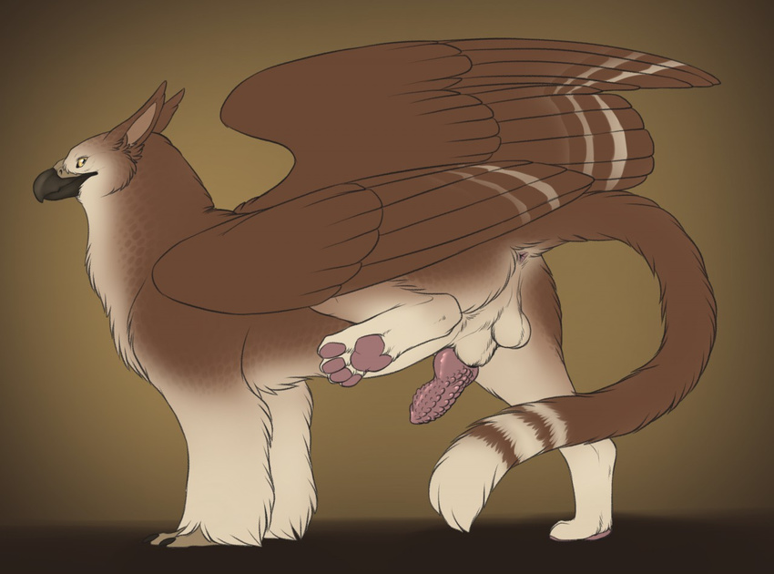 2017 4_toes anus avian backsack balls barbed_penis beak black_beak brown_background brown_feathers brown_fur claws digital_media_(artwork) erection feathered_wings feathers feral folded_wings full-length_portrait fur gryphon knot looking_back male pawpads paws penis perineum pink_pawpads pink_penis portrait presenting presenting_penis quadruped raised_leg side_view simple_background solo spread_wings toes white_balls white_feathers white_fur wings yaroul yellow_sclera