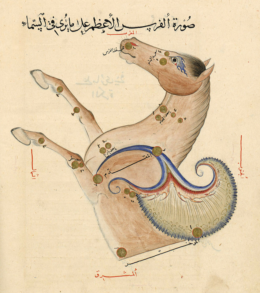 1440 15th_century ambiguous_gender ancient_furry_art arab_text constellation equine feral half-length_portrait hi_res license_info mammal pegasus portrait public_domain solo timurid_empire traditional_media_(artwork) unknown_artist whiskers wings