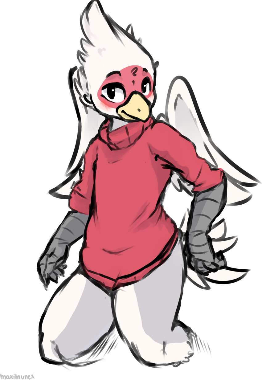 2016 anthro avian beak beverage bird blush bottomless clothed clothing coffee feathers looking_at_viewer male portrait simple_background solo standing sweater tail_feathers three-quarter_portrait turtle_neck white_background white_feather wings yellow_beak zereno