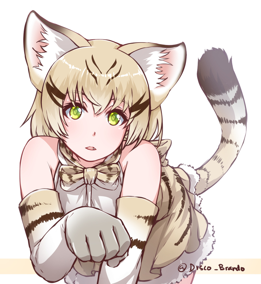 all_fours animal_ears bare_shoulders cat_ears cat_tail commentary disco_brando elbow_gloves eyebrows_visible_through_hair fang gloves green_eyes kemono_friends looking_at_viewer parted_lips paw_pose sand_cat_(kemono_friends) sand_cat_print short_hair silver_hair simple_background solo tail twitter_username white_background
