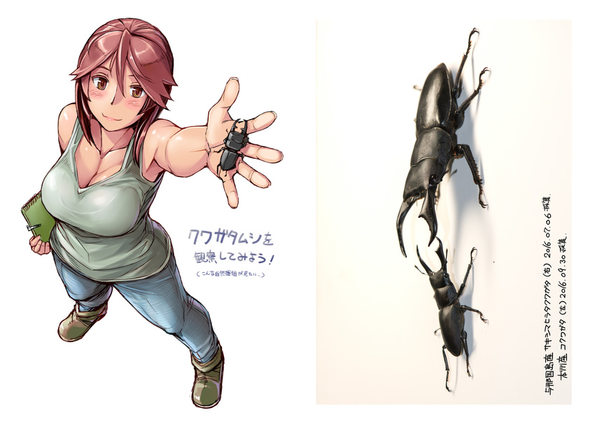 beetle blush breasts brown_eyes brown_hair bug cleavage collarbone denim from_above hair_between_eyes highres holding insect jeans large_breasts lips looking_up notebook outstretched_arm pants rozen_maiden short_hair sleeveless solo souseiseki tank_top tsuda_nanafushi