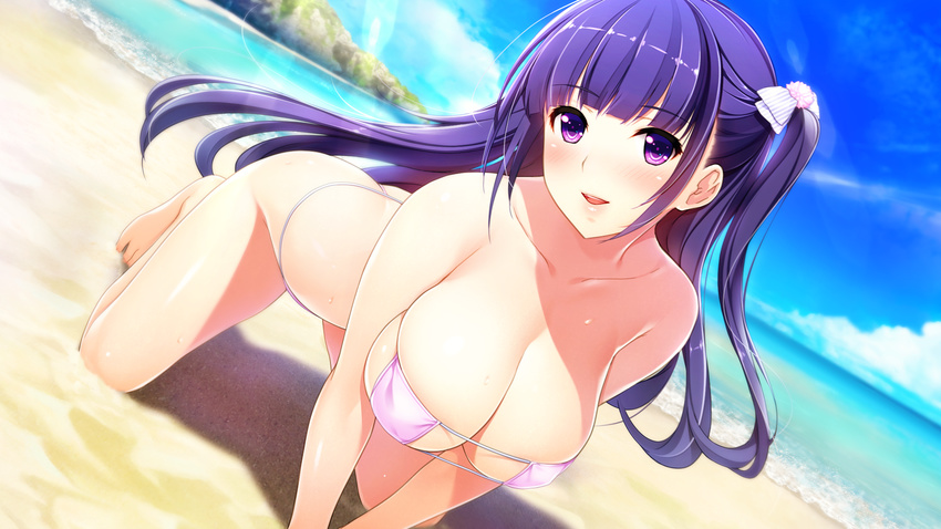 :d all_fours arched_back ass bangs bare_shoulders barefoot beach bikini blush bow breasts cleavage collarbone day dutch_angle enkou_shoujo_2_~jk_idol_masuzu_no_baai~ eyebrows_visible_through_hair eyepatch_bikini game_cg hair_bow highres koizumi_amane kurokawa_masuzu large_breasts long_hair non-web_source one_side_up open_mouth outdoors parted_lips pink_bikini purple_eyes purple_hair skindentation smile solo string_bikini sunlight sweat swimsuit thong thong_bikini