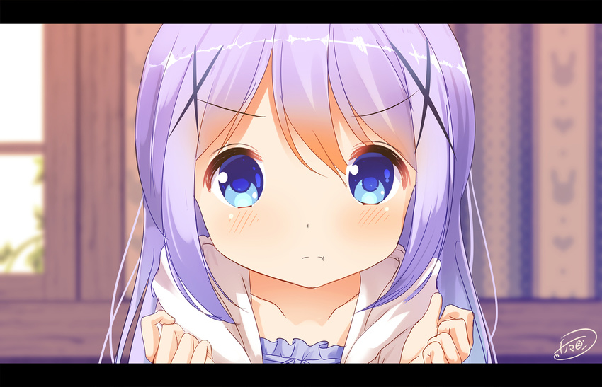 aqua_eyes blush chinomaron close gochuumon_wa_usagi_desu_ka? kafuu_chino loli long_hair purple_hair