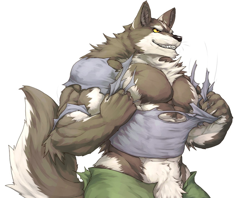 2017 abs anthro biceps big_muscles black_nose canine captainjohkid claws clothing fangs flakjacket0204 fur grey_fur hi_res male mammal muscular open_pants pants pecs shirt simple_background smile solo standing teeth torn_clothing triceps whiskers white_background white_fur wolf yellow_eyes