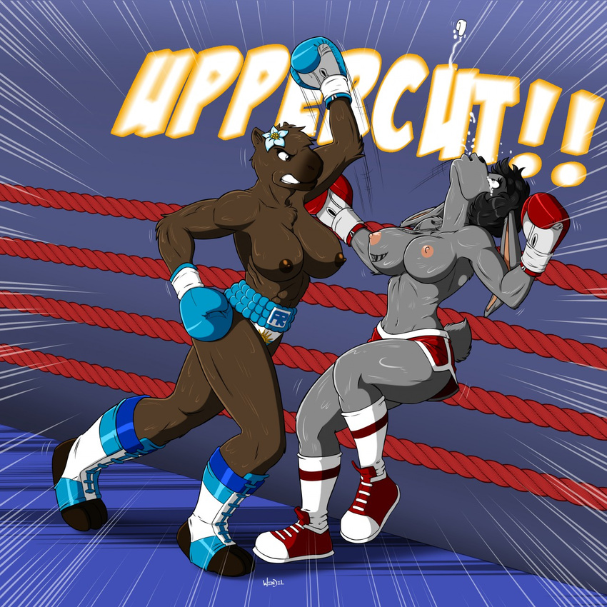 angry athletic big_breasts black_hair boxing boxing_gloves breasts brown_eyes brown_fur capybara chest_tuft clenched_teeth clothed clothing drawing-4ever duo eyebrows eyelashes falling female female/female fight fighting_ring flower footwear fur grey_fur hair head_back inner_ear_fluff lagomorph long_ears mammal motion_lines muscular muscular_female navel nipples ouch pain plant punch rabbit rodent shorts sneakers sport tattoo teeth text topless tuft uppercut wendel2