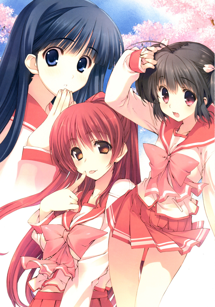 absurdres bangs blue_eyes blue_hair blush bow bowtie breasts brown_eyes brown_hair cherry_blossoms eyebrows_visible_through_hair highres kousaka_tamaki kusakabe_yuuki_(to_heart_2) long_sleeves looking_at_viewer medium_breasts mitsumi_misato multiple_girls official_art open_mouth outdoors parted_lips pleated_skirt red_eyes red_hair scan school_uniform short_hair skirt sky sleeves_past_wrists small_breasts smile to_heart_2 tongue tongue_out yuzuhara_konomi