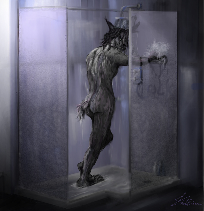 &lt;3 2012 4_toes 5_fingers anthro black_hair black_nose feline fur green_eyes grey_fur hair inviting killian killianwalker looking_at_viewer looking_back lynx male mammal nude plantigrade seductive short_tail shower smile solo spots standing steam_writing teeth toes wet