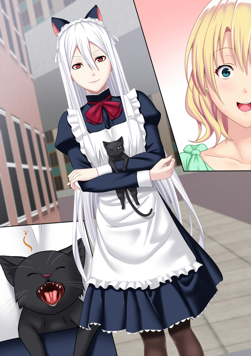 animal animal_ears apron black_cat blonde_hair blue_eyes blush breasts cat cat_ears commentary_request dress eyebrows_visible_through_hair fake_animal_ears frills hair_between_eyes highres long_hair long_sleeves looking_at_viewer maid maid_headdress multiple_girls open_mouth original puffy_sleeves red_eyes short_hair shuko_hime silver_hair small_breasts smile standing surprised tawagoto_dukai_no_deshi thighhighs waist_apron