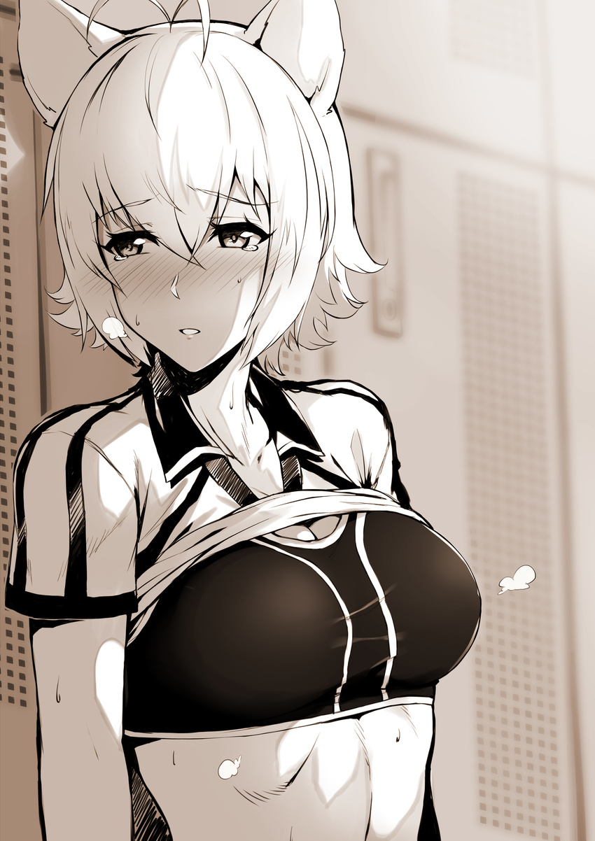 absurdres animal_ears blazblue blurry blush breasts breath cleavage collarbone depth_of_field embarrassed hair_between_eyes highres indoors locker locker_room looking_away looking_to_the_side makoto_nanaya md5_mismatch medium_breasts monochrome nose_blush parted_lips purinnssu sepia shirt_lift short_hair short_sleeves solo sports_bra squirrel_ears sweat tareme tears toned upper_body wing_collar