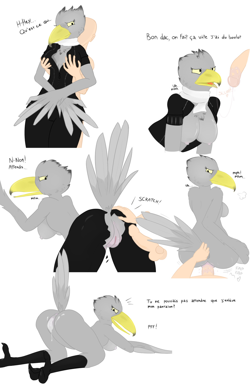 2017 4_toes anon anthro anus avian balls beak beakjob bird black_legs breasts clothed clothing comic cum cum_inside dialogue digital_media_(artwork) duo erection feathers fellatio female french_text front_view grey_feathers hands_on_boobs human human_on_anthro interspecies invalid_tag laen_patisson lf looking_at_viewer looking_back male male/female male_on_anthro mammal nipples nude open_beak open_mouth oral penetration penis pose presenting pussy rear_view scarf sex shoebill simple_background spread_legs spreading sucking tail_grab talons text toes vaginal vaginal_penetration wings yellow_beak