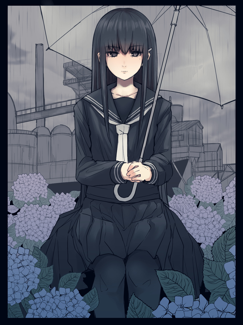 510ksk bangs black_border black_hair black_serafuku blush border eyebrows_visible_through_hair flower highres hinabita hydrangea long_hair long_sleeves looking_at_viewer mole mole_under_eye pantyhose pleated_skirt rain school_uniform serafuku shimotsuki_rin skirt solo umbrella